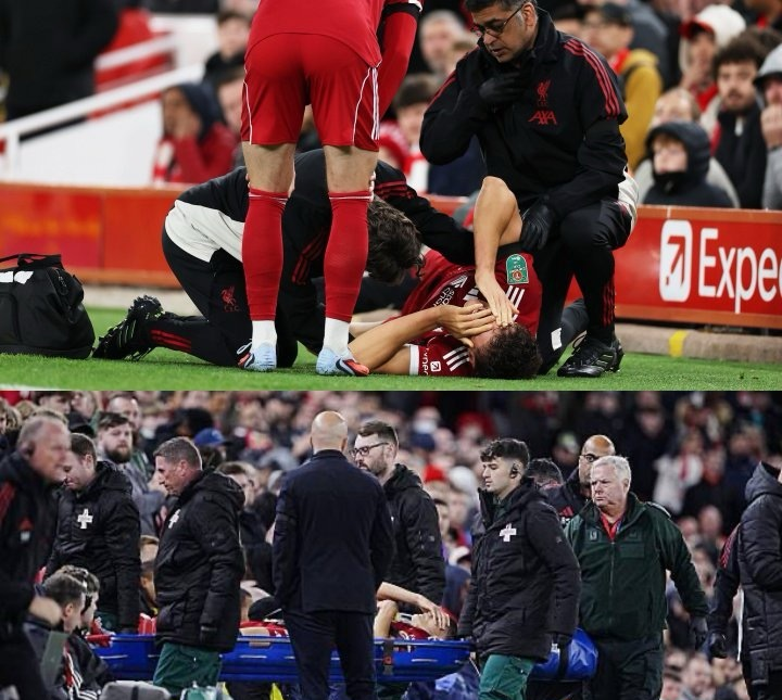 亿德体育官方入口包含今晚利物浦止住颓势纽约尼克斯围绕社区盾遗憾出局，这操作让人直呼：AC米兰完成体检备战德国杯的词条